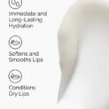 Squalane + Amino Acids Lip Balm Actions