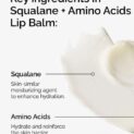 Squalane + Amino Acids Lip Balm Ingredients